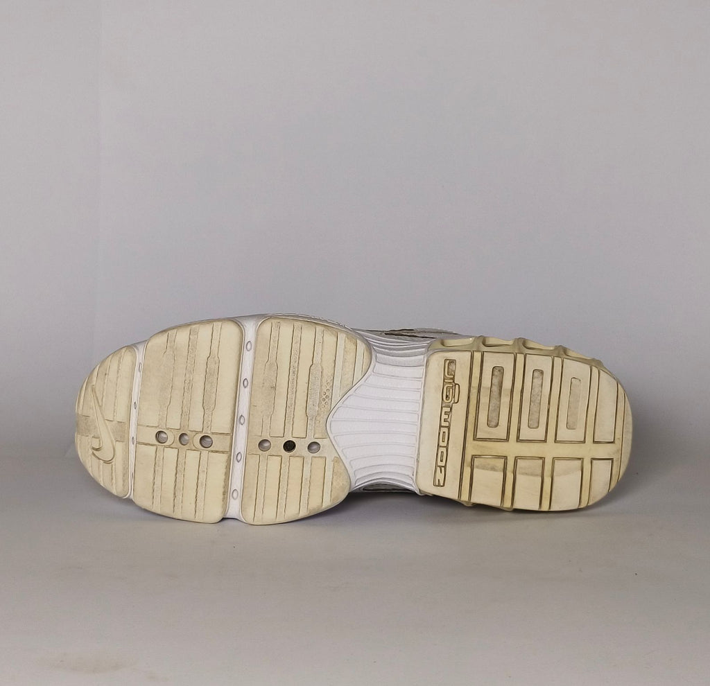 Nike Women's Zoom Air Fire Sneakers