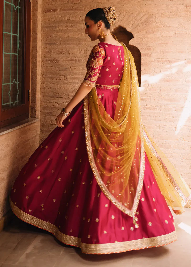 Red Rasham