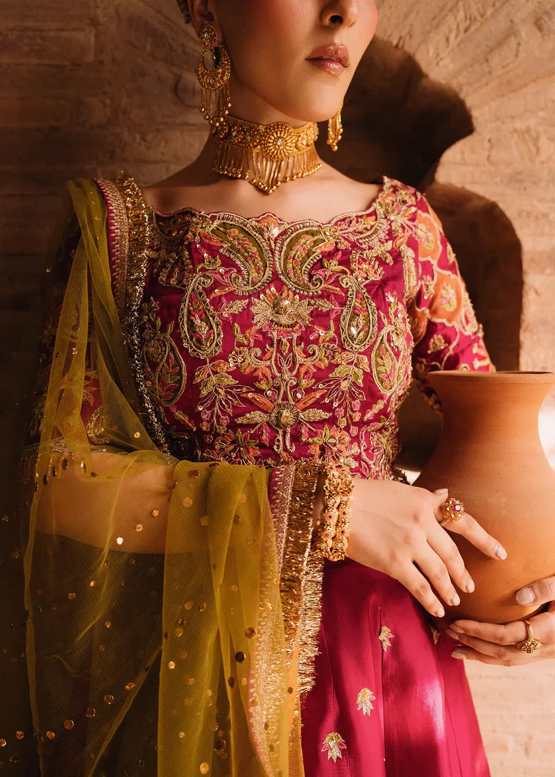 Red Rasham